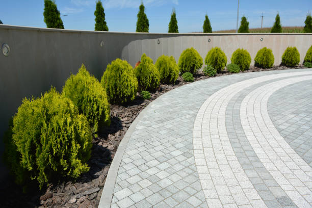 Best Custom Driveway Pavers  in Mcadoo, PA